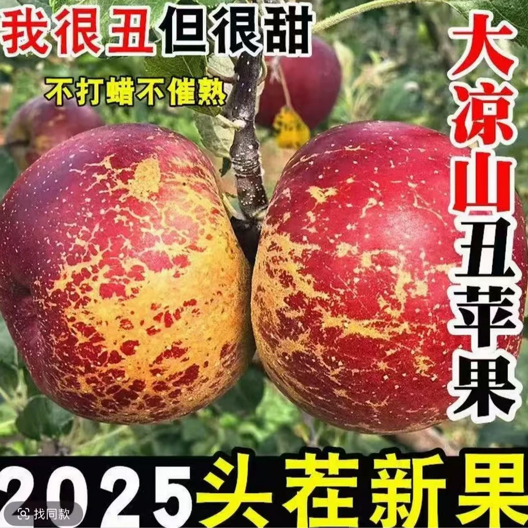 【四川凉山冰糖心】丑苹果红富士新鲜现摘脆甜多汁水果50%糖心F