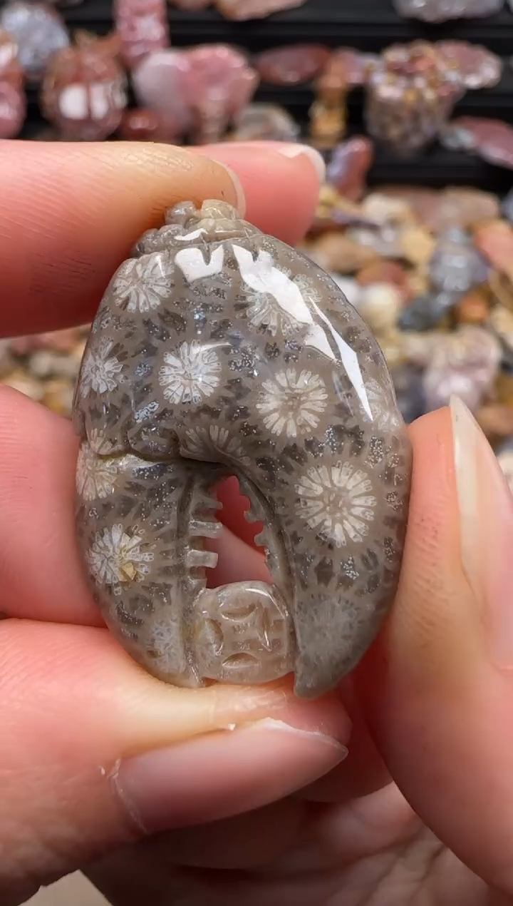 【闪购商品】硅化珊瑚（珊瑚玉）颈饰未镶嵌373