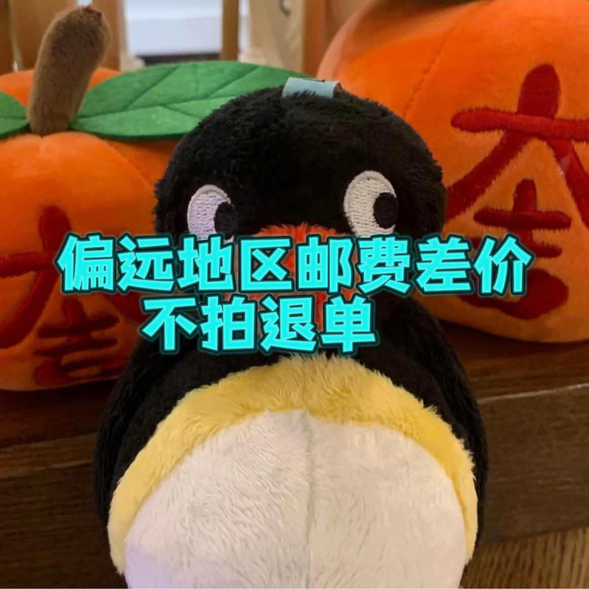 玩具   偏远地区邮费差价 不拍退单