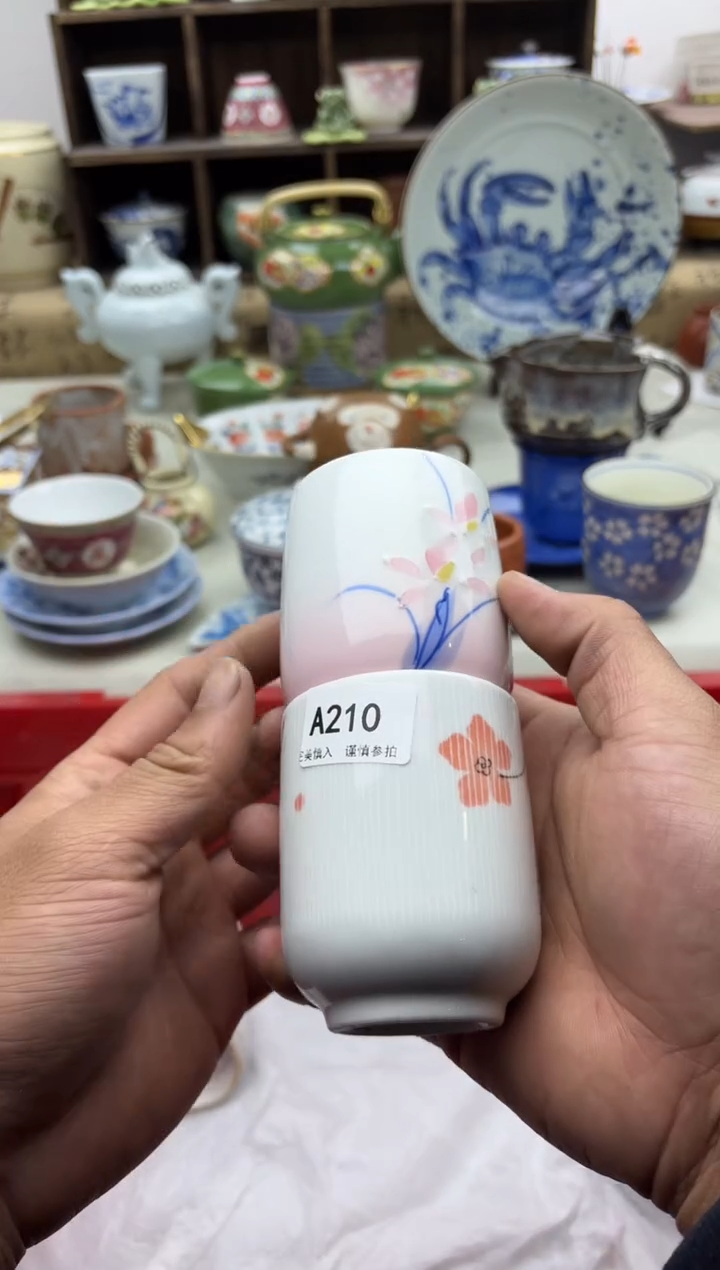 【闪购商品】碟A210.............