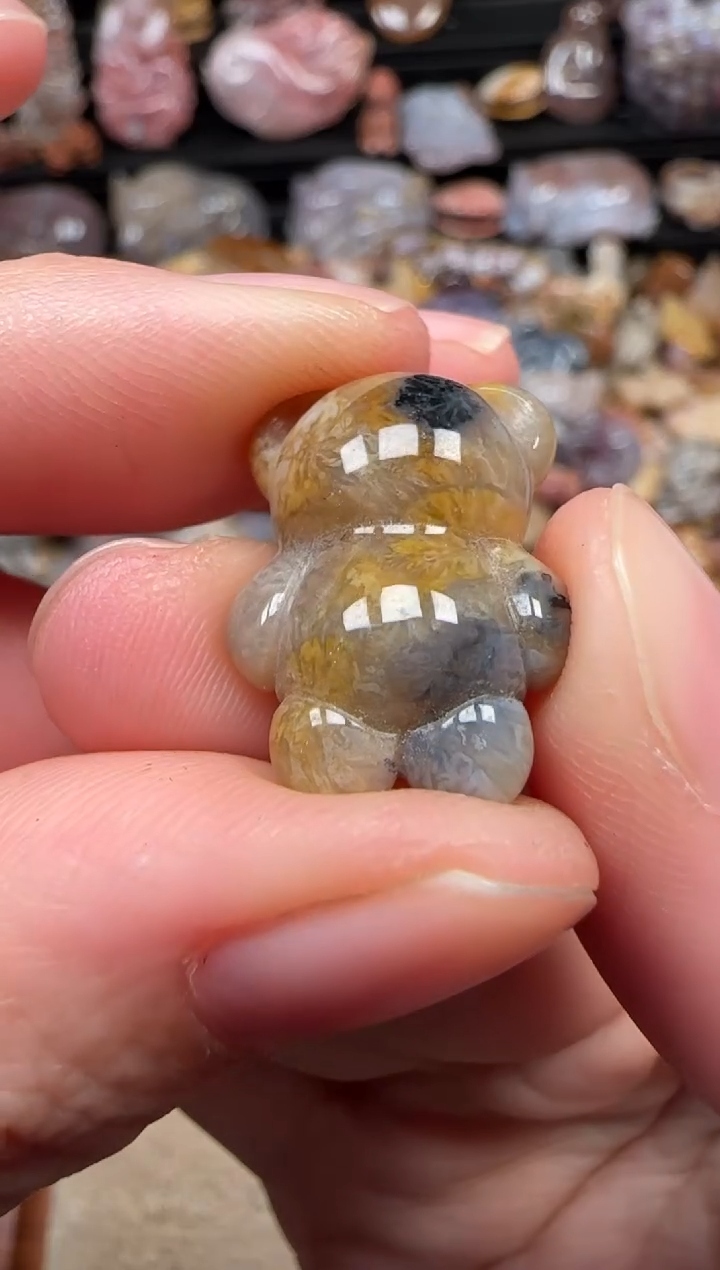 颈饰未镶嵌硅化珊瑚（珊瑚玉）837