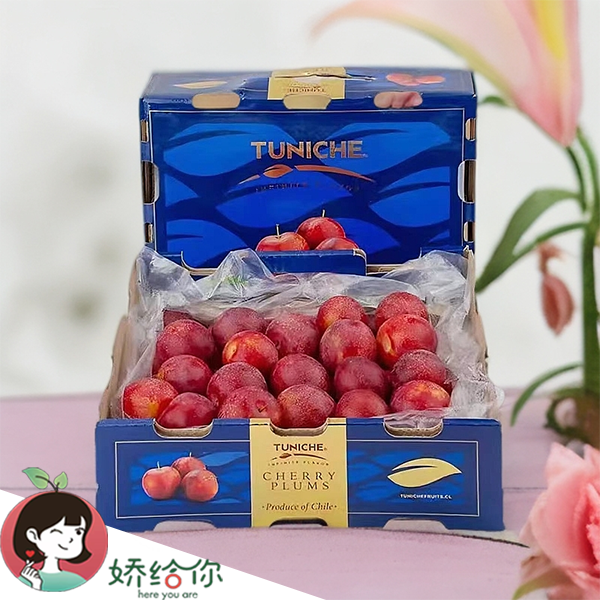 【顺丰包邮】季节限定智利空运图力奇樱桃李4J 5J  5斤原箱