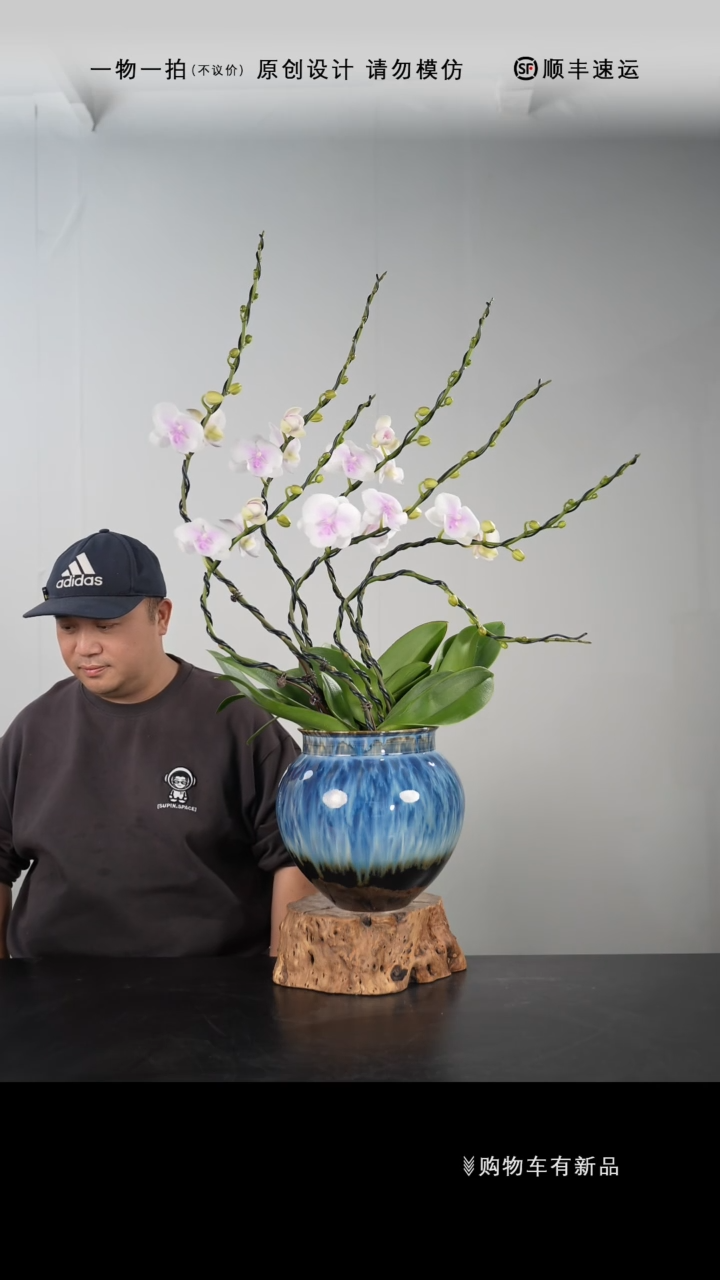 【闪购商品】005号链接【一物一拍】艺术盆景