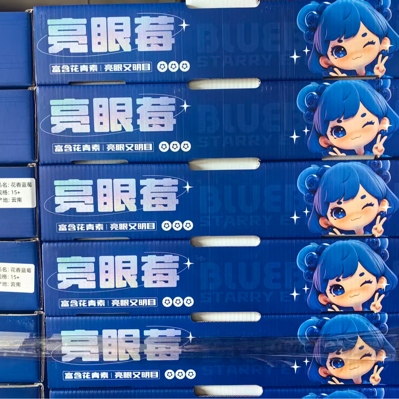 15mm+【亮眼莓】 脆甜多汁 花香满溢   12盒 