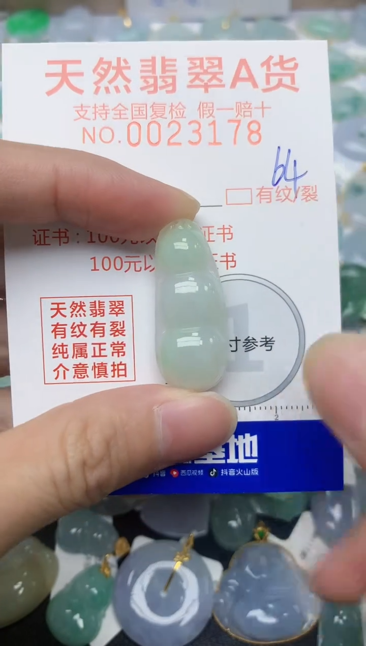 【闪购商品】翡翠颈饰未镶嵌64天然翡翠A货 