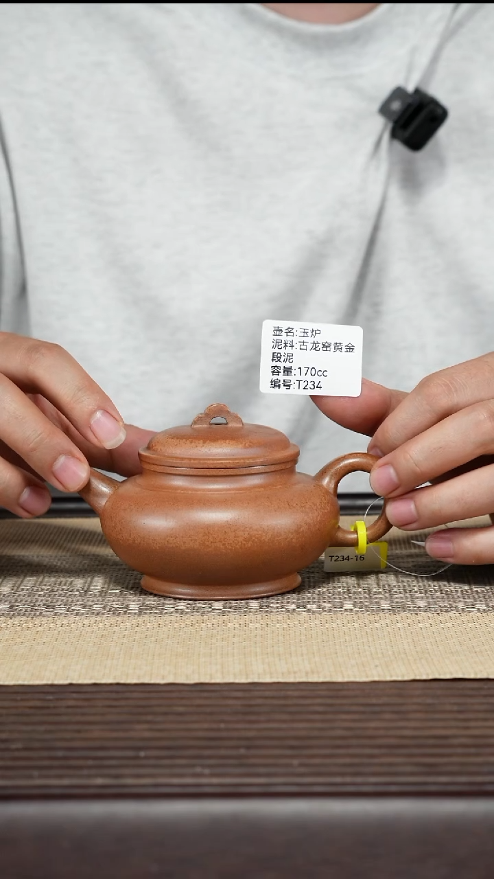 紫砂茶壶T234 古龙窑柴烧 玉炉 170cc