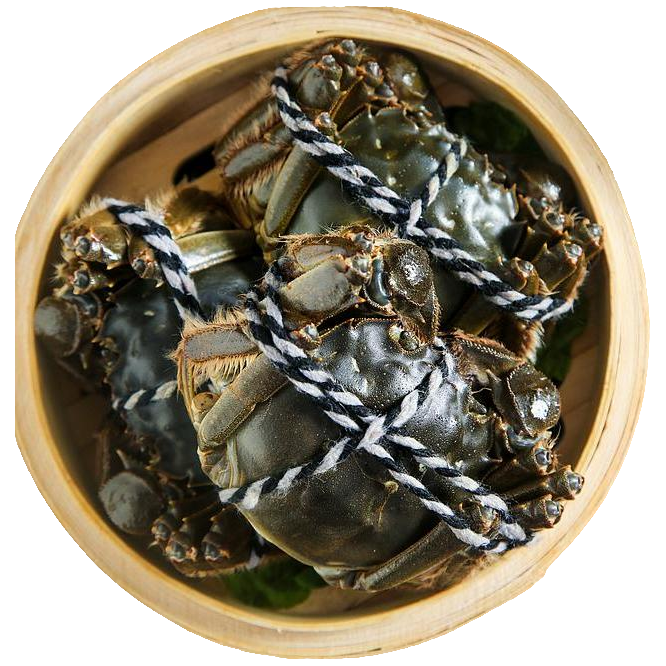 【全公4.0-3.7两】拍8只送2只 到手10只 顺丰京东苏州直发 青H