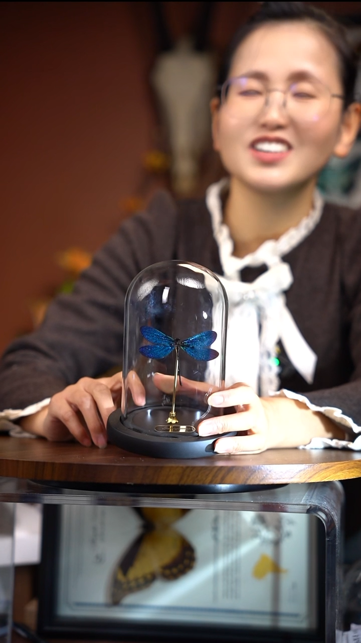 暗溪玻璃罩              常规