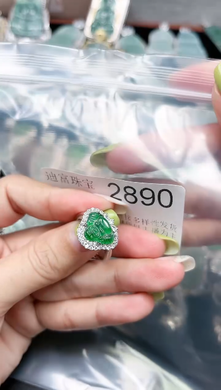 【闪购商品】翡翠颈饰未镶嵌2890赠皮绳