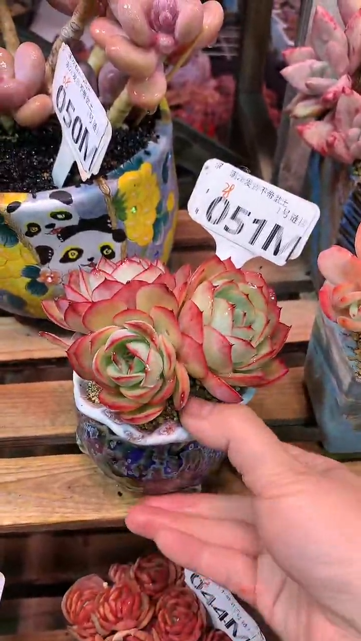 【闪购商品】051MMM