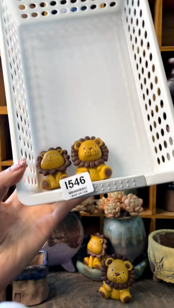 路**已546【多肉花盆多肉盆】