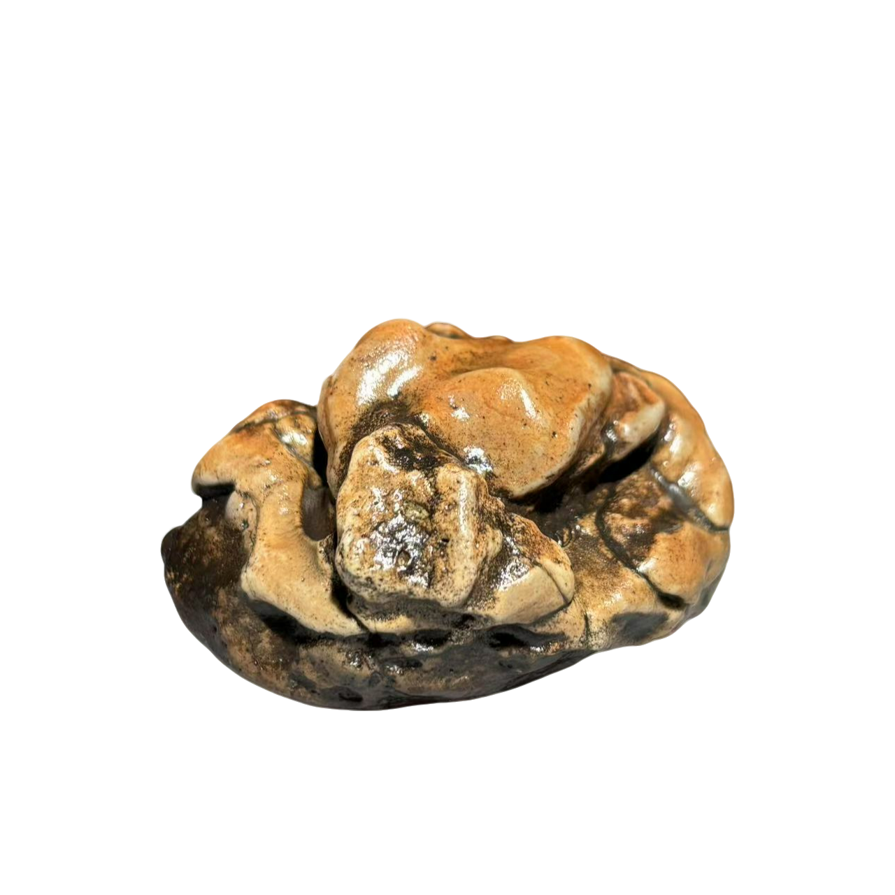 阿拉善原石戈壁石奇石摆件天然风化创意摆设室内办公室摆件