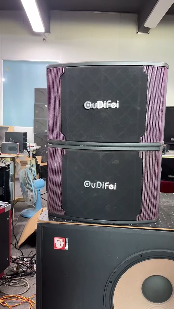 8新不包邮 10寸卡包音响  KTV音箱一对   运费到付