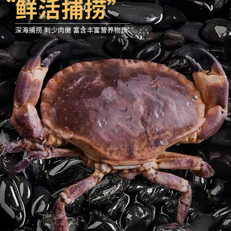 新鲜面包蟹3只共4-4.5斤充氧气发货个别断脚保鲜不保活
