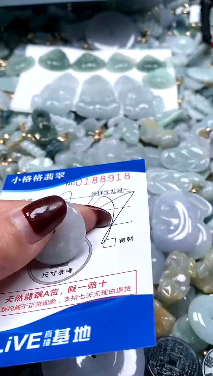 【闪购商品】翡翠颈饰未镶嵌闪购商品0188928