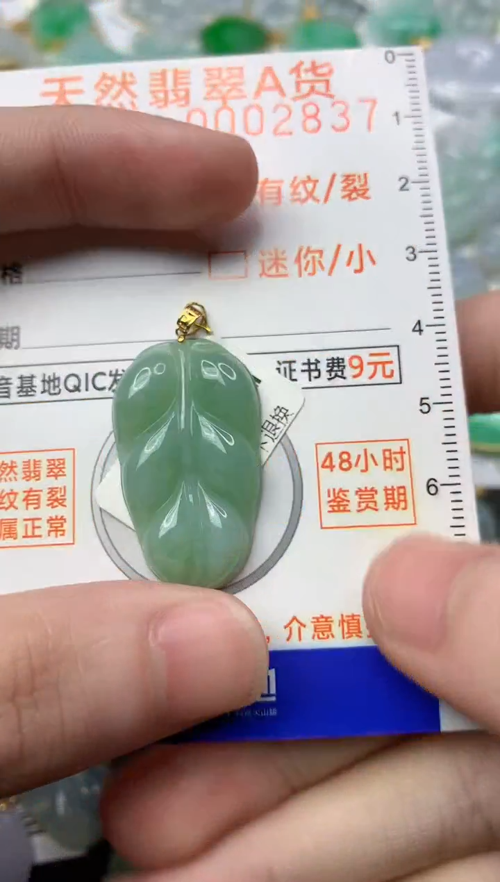【闪购商品】翡翠颈饰18K金镶嵌6.........