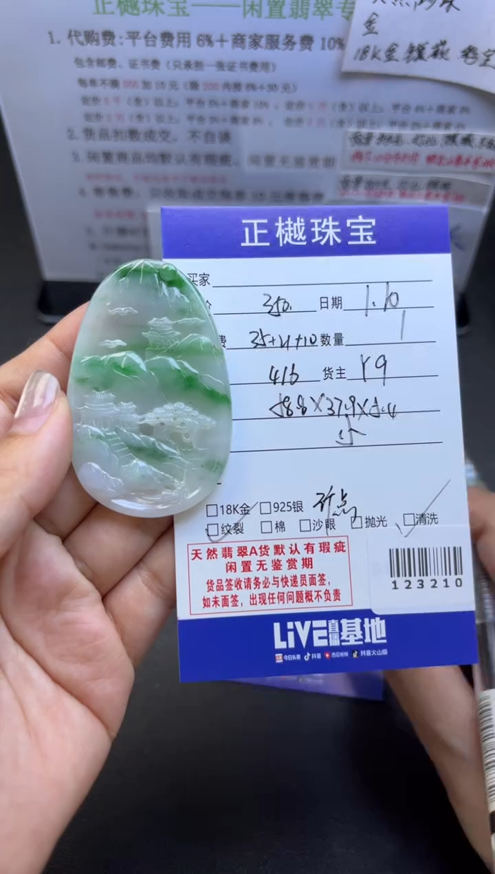 【闪购商品】翡翠颈饰未镶嵌ZYZB-123210
