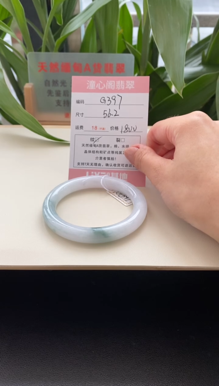 未镶嵌手镯翡翠56.3圈口编码g397