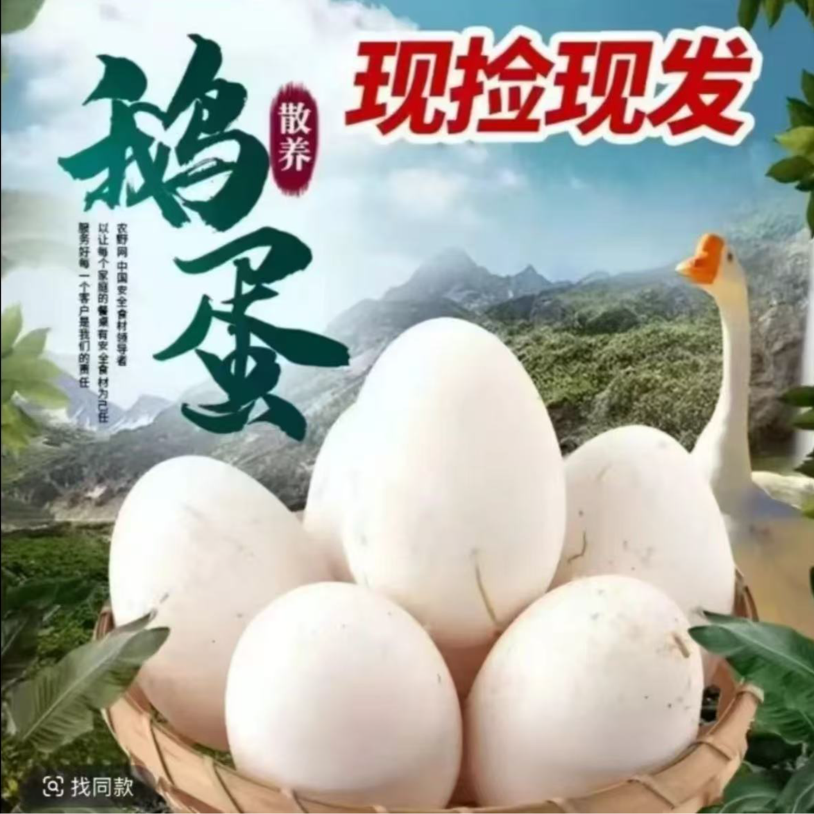 土鹅蛋（拍6枚送6枚）到手12枚农家散养土鹅蛋当天现捡现发坏蛋包赔