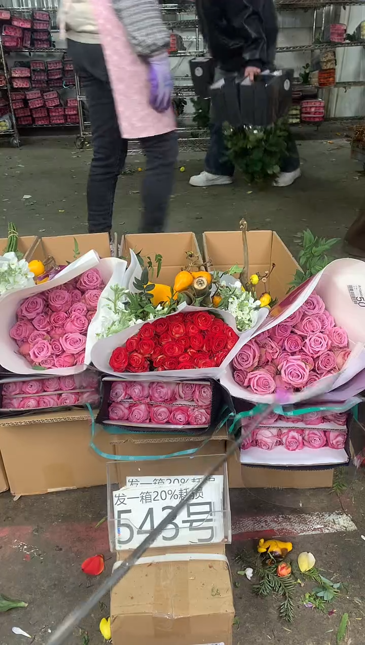 543号♥中通不指定随机颜色含20%耗损发一箱鲜花