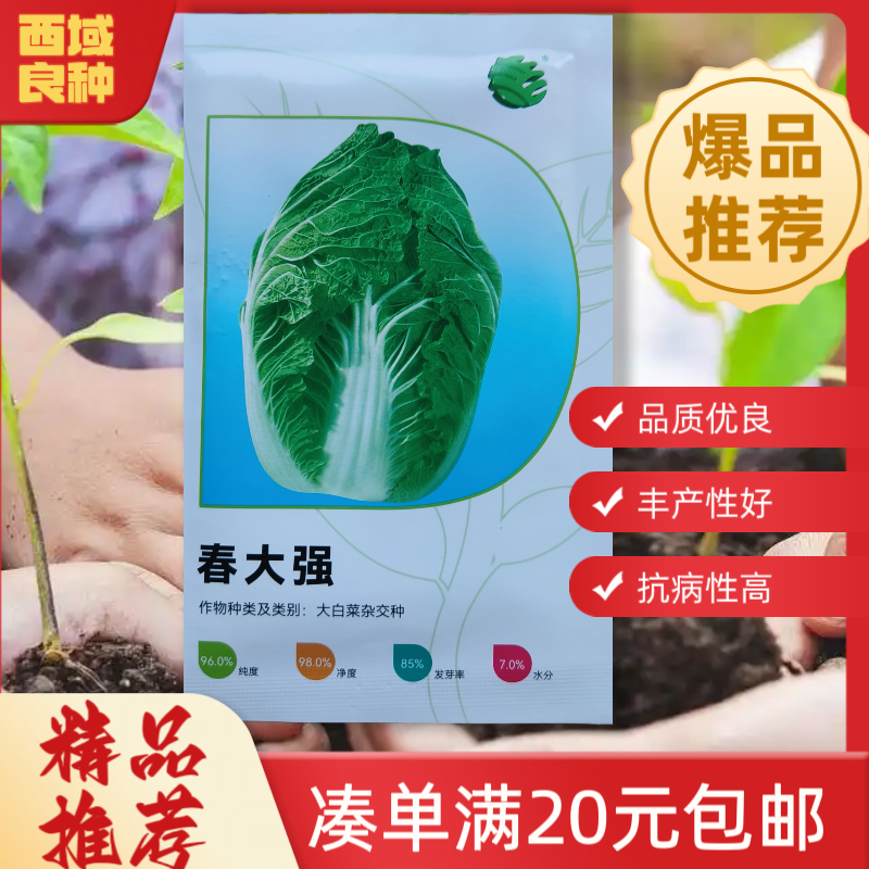 【10g春大强】春白菜，早熟性好65天，保持温度13度以上避免春化