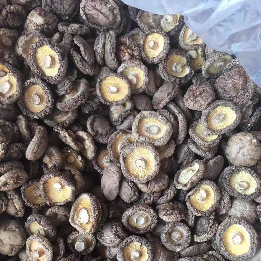 农家特产香菇干货肉厚无根食用菌食材可炖煮煲汤炒菜