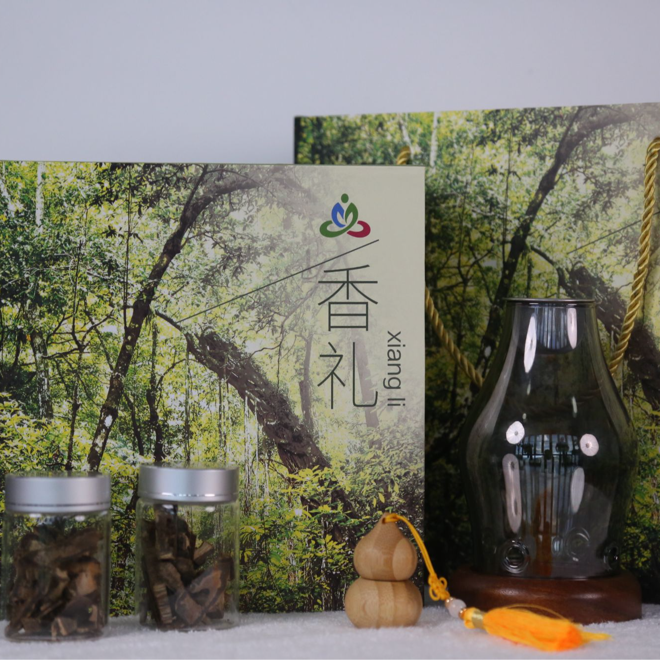 【我和艺术家去海南】艺术家陪你去旅行六天五晚