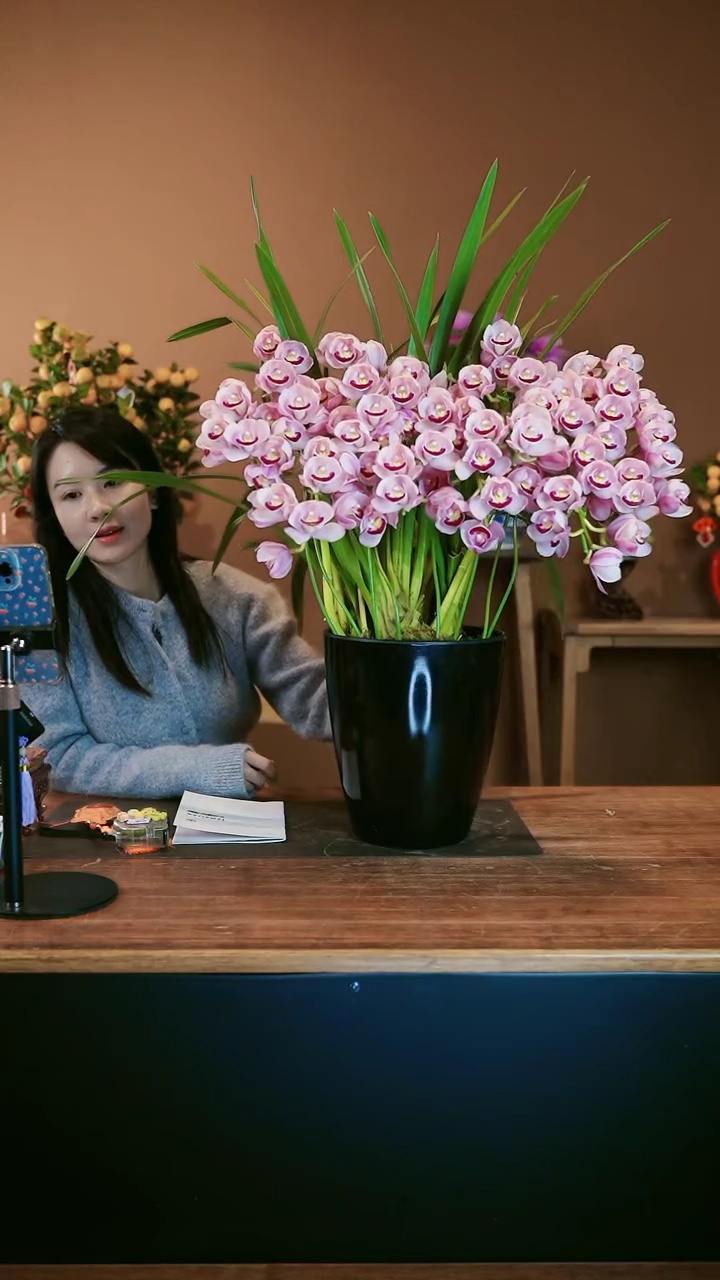 【闪购商品】盆景草莓露露 礼盒