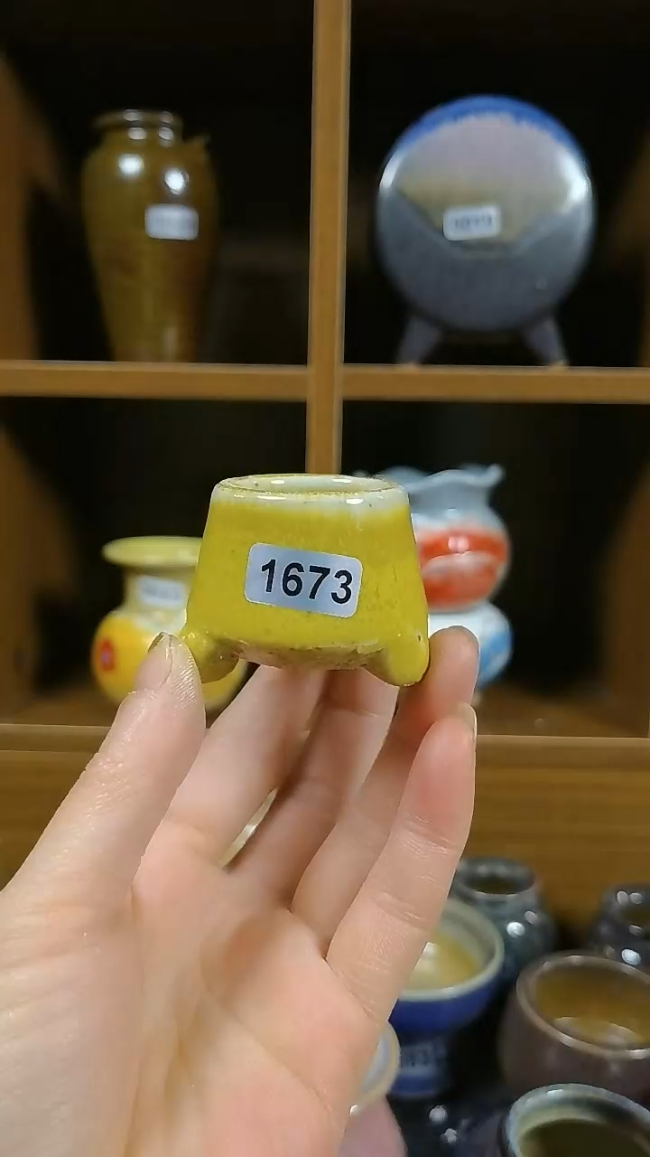 【闪购商品】红陶1673