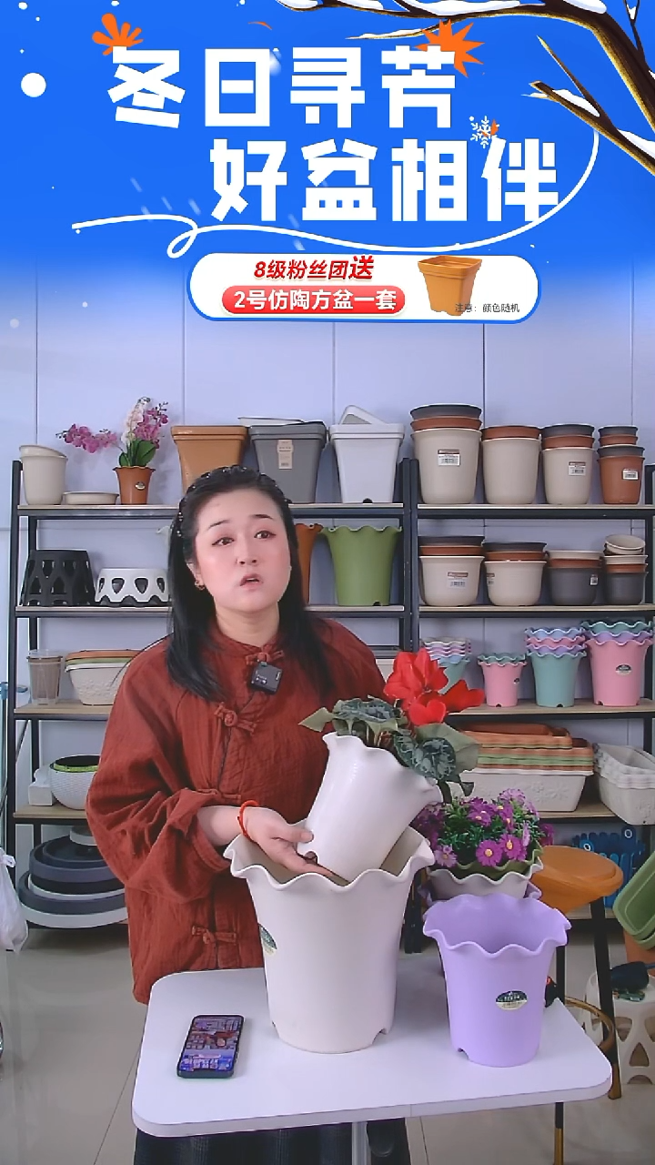 荷叶边5004米白1套带托盘+5002米白5套带托盘