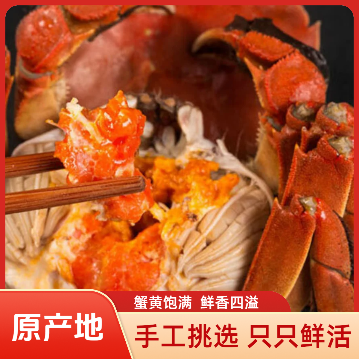 【活蟹】辽河大蟹 2两母蟹10只 全母蟹中秋礼盒 鲜活发货产地直发