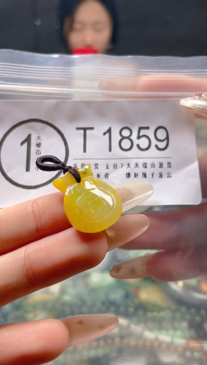 【闪购商品】翡翠颈饰未镶嵌/T/翡翠A货一图一物