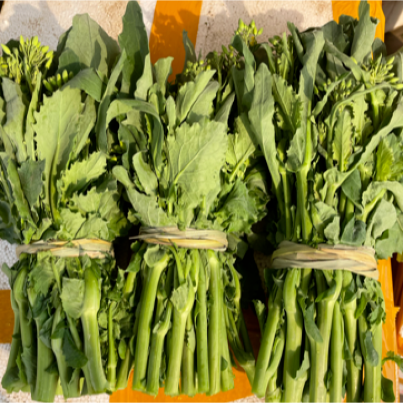 【宜宾同城配送】【万家福超市】青油菜 约500g
