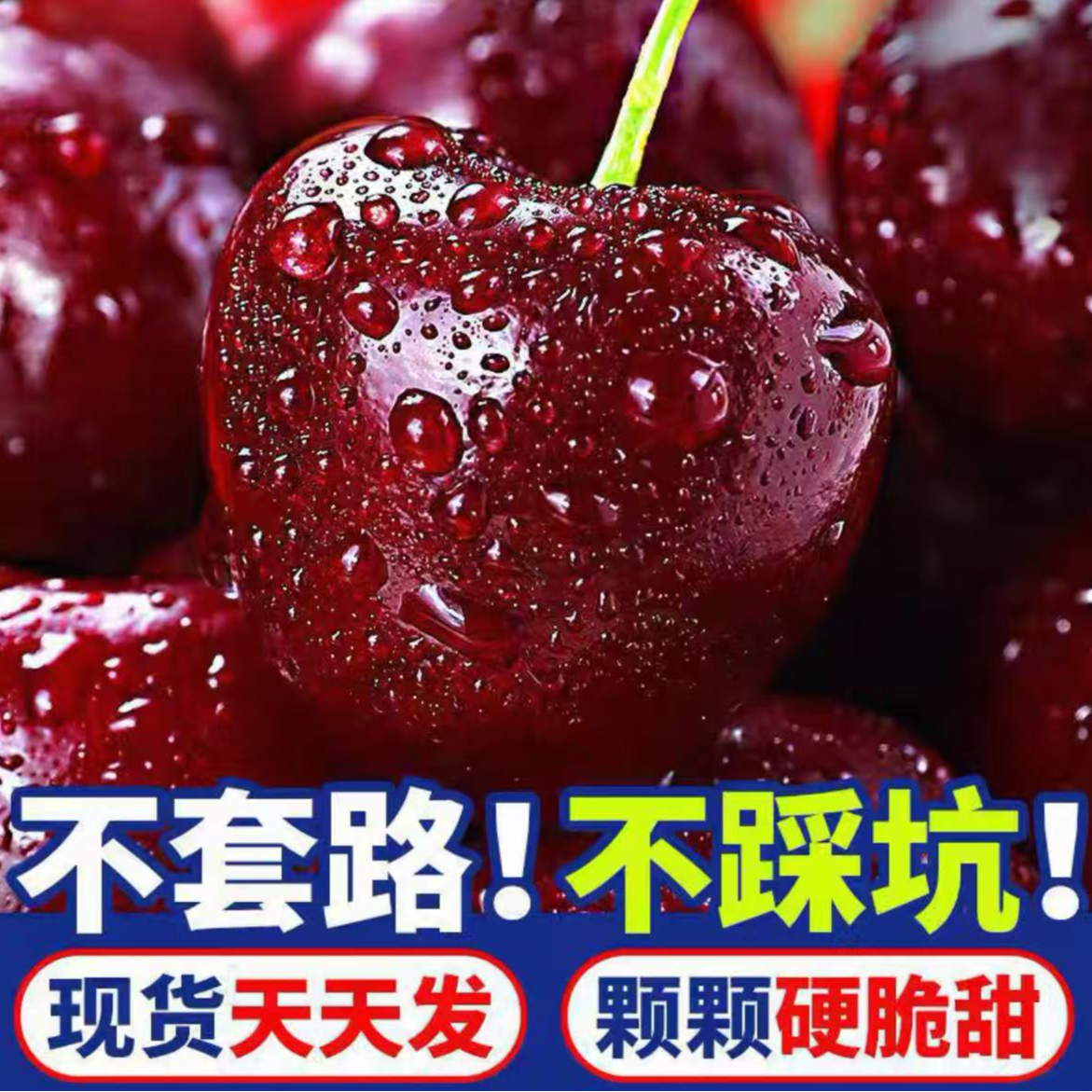 【今天拍明天到】智利空运桑提娜车厘子3J4J、净果400g、800g顺丰京东包邮内附果径卡桑提娜樱桃智利共和国