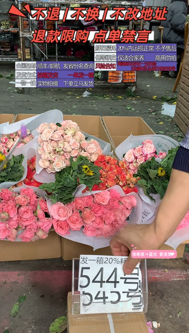 544号♥含20%耗损发一箱