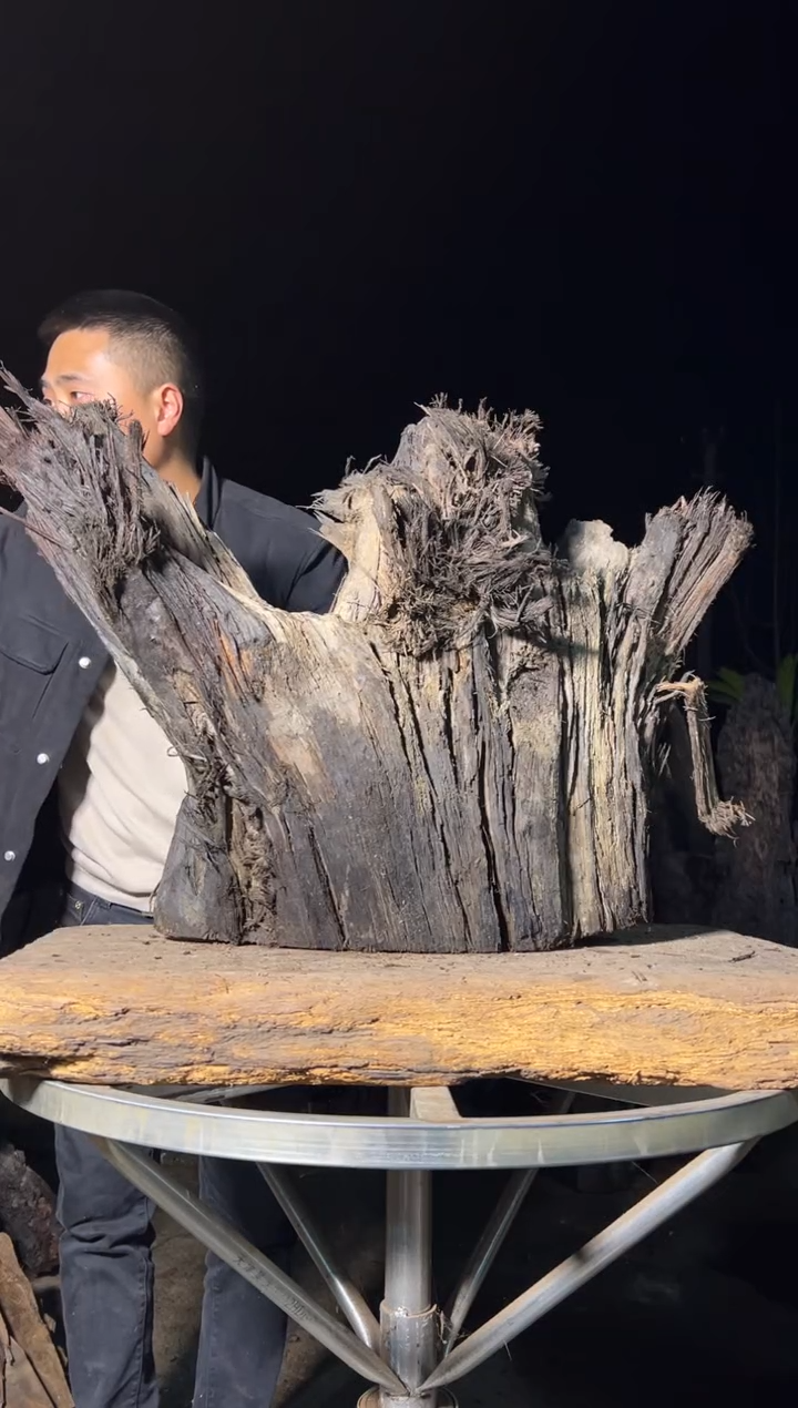 金丝楠钱*金丝楠