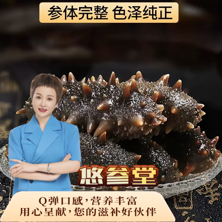 【霞姐专属】大连辽参 8-10头  500克装播底参  海参冷冻水产肉质