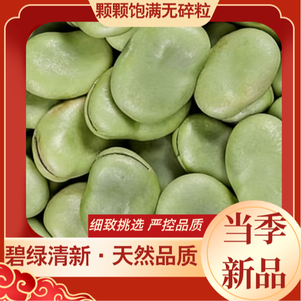精选新货绿皮干蚕豆生的青皮干蚕豆可发芽做油炸没加工的生蚕豆