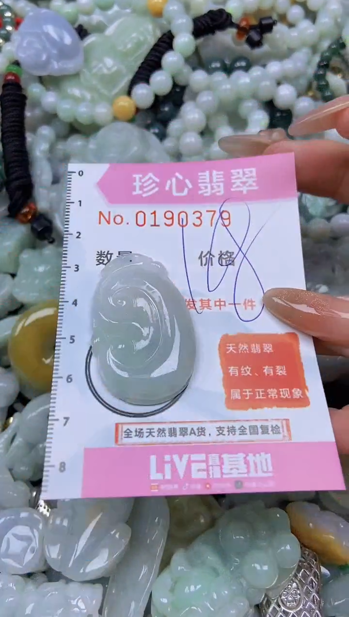 翡翠未镶嵌颈饰闪购链接0190379