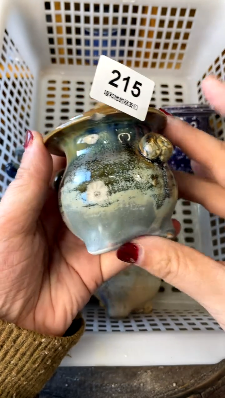 【闪购商品】陶微瑕215 内口4