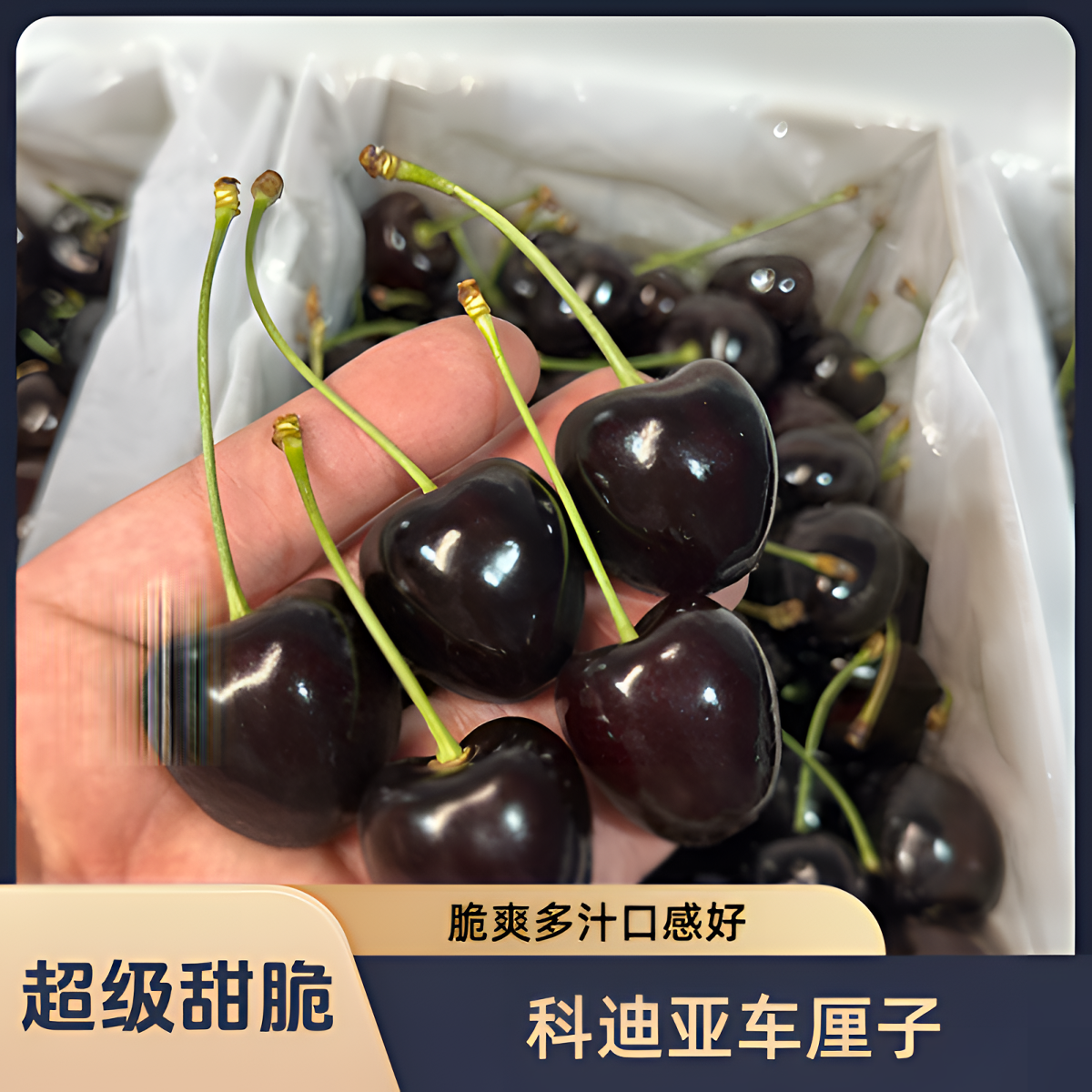 JJD科迪亚车厘子2.5kg【特别甜脆】