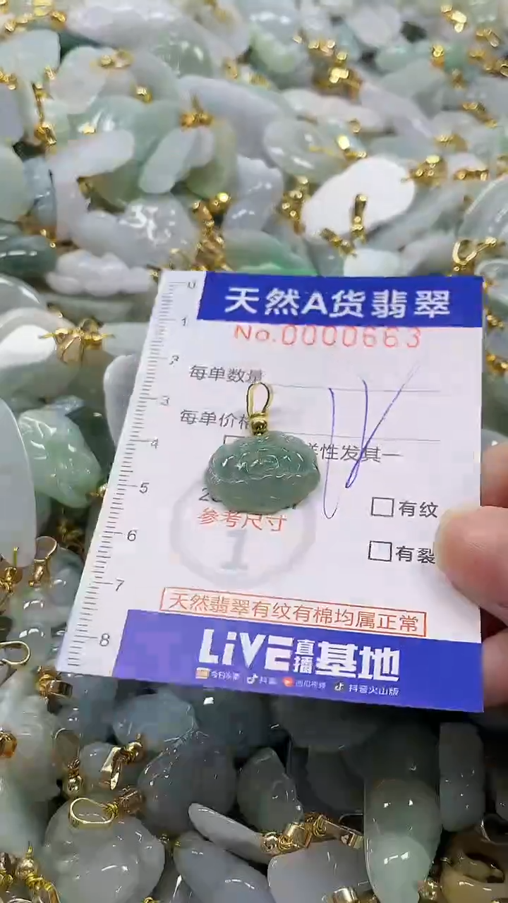 颈饰未镶嵌翡翠纯天然a货翡翠