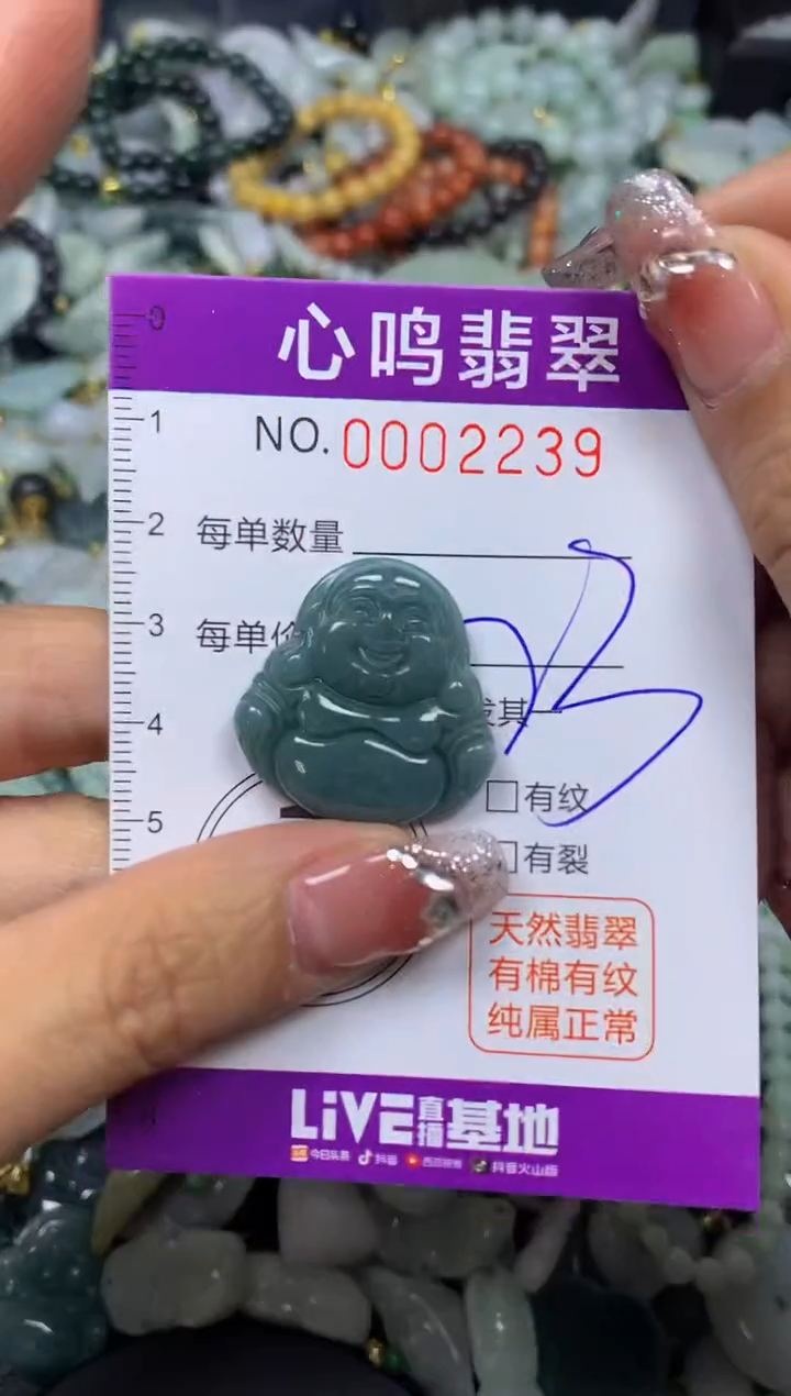 【闪购商品】翡翠颈饰未镶嵌闪购002239