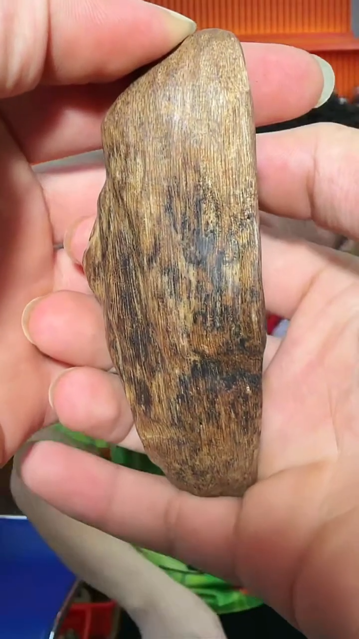 沉香手把件25号虎斑棋47g多样性发一