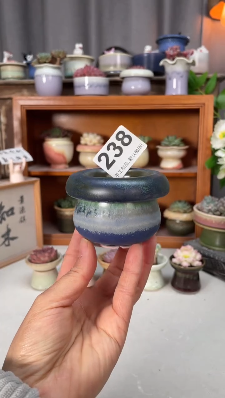 瓷片238小芳直播编号