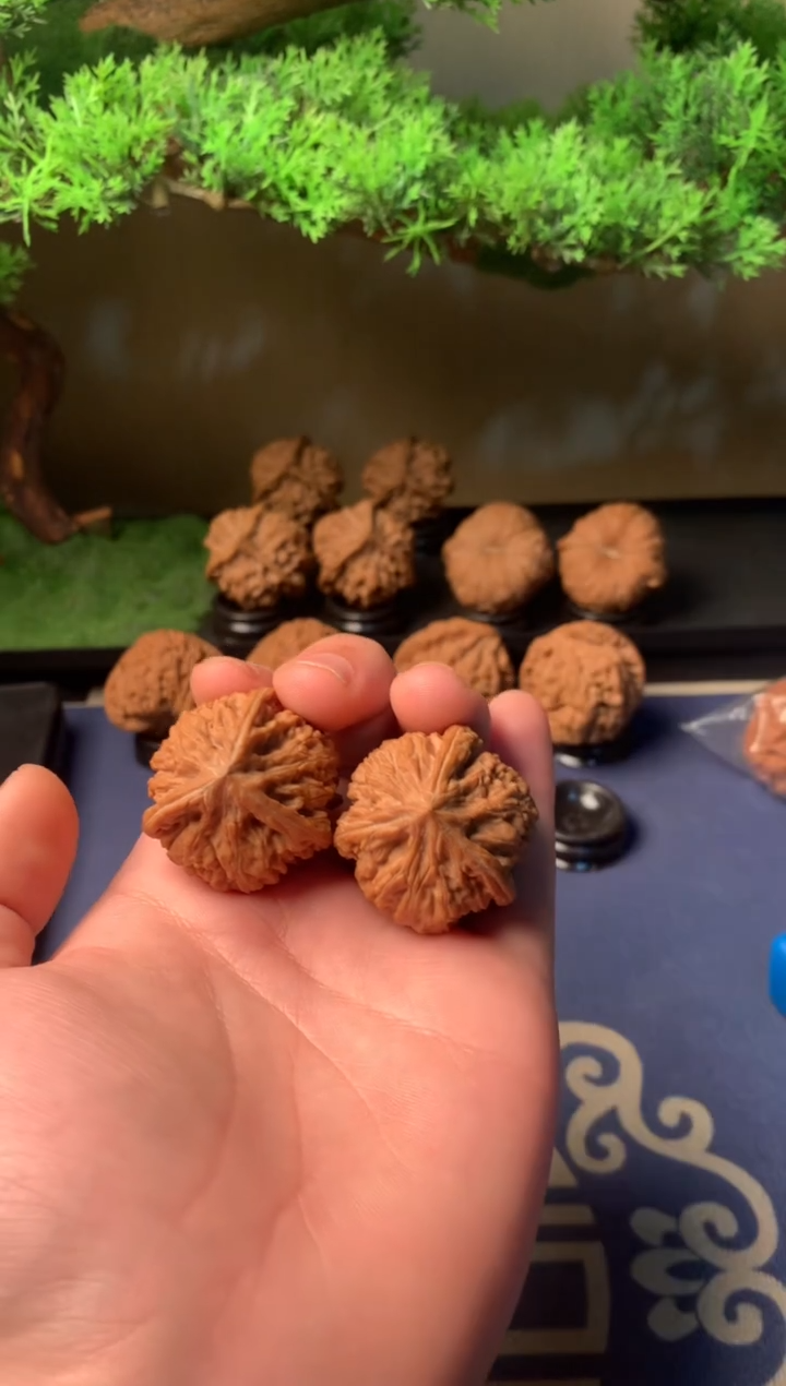 【闪购商品】文玩核桃把件37御龙奔