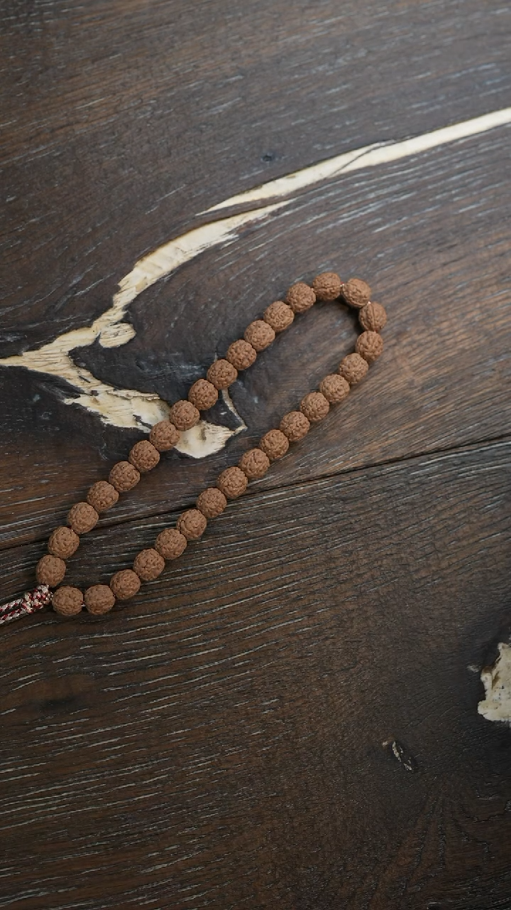 【闪购商品】金刚菩提手串原桩盘龙纹