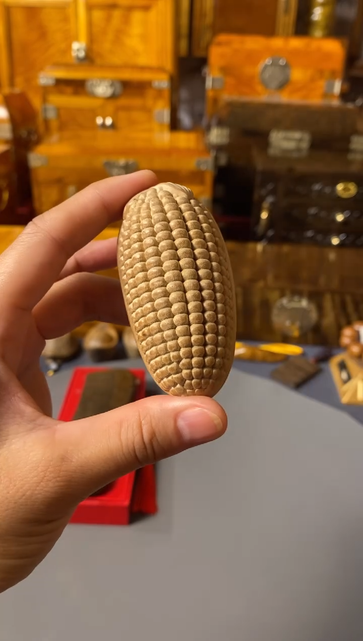 金丝楠小叶桢楠 玉米