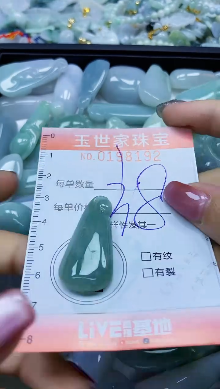 【闪购商品】翡翠颈饰未镶嵌闪购0198192