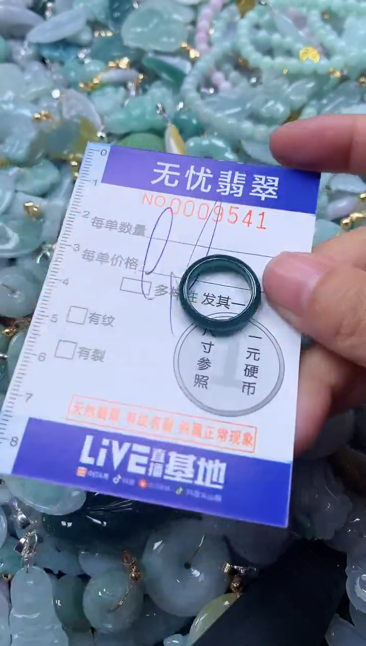 颈饰未镶嵌翡翠9541